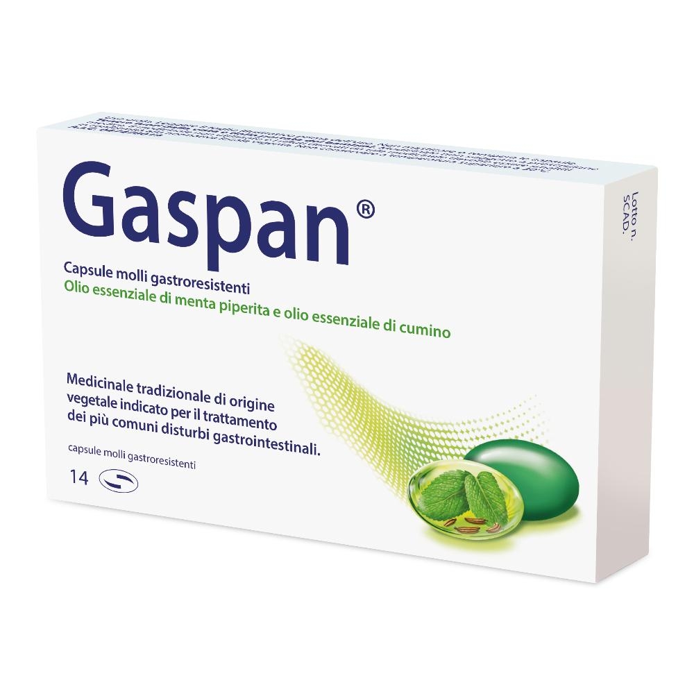 GASPAN CAPSULE MOLLI GASTRORESISTENTI