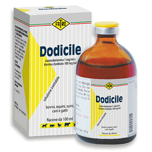 DODICILE CIANOCOBALAMINA 1 MG/ML E TIAMINA CLORIDRATO 100 MG/ML SOLUZIONE INIETTABILE PER BOVINI EQUINI SUINI CANI E GATTI