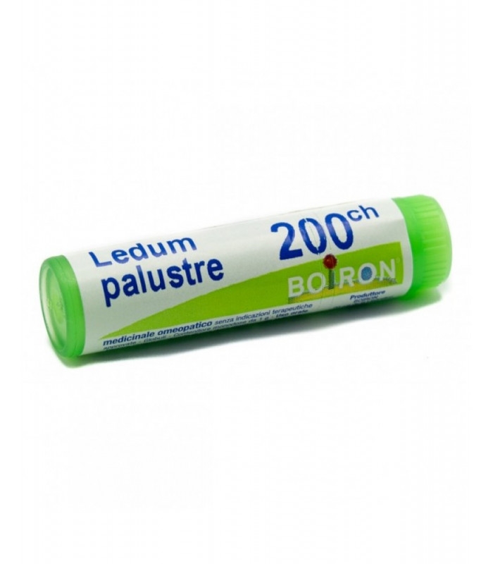 LEDUM PALUSTRE 200CH GLOBULI