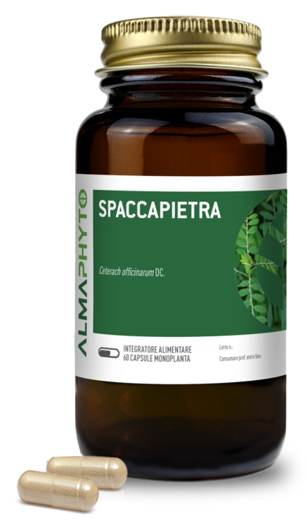 SPACCAPIETRA 60 CAPSULE