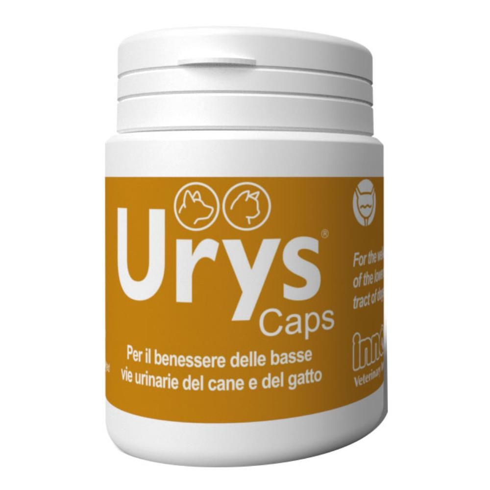 URYS CAPS 30 CAPSULE