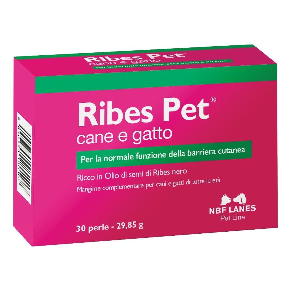RIBES PET BLISTER 30 PERLE