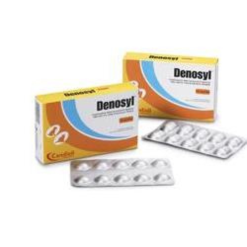 DENOSYL 10CPR 90MG