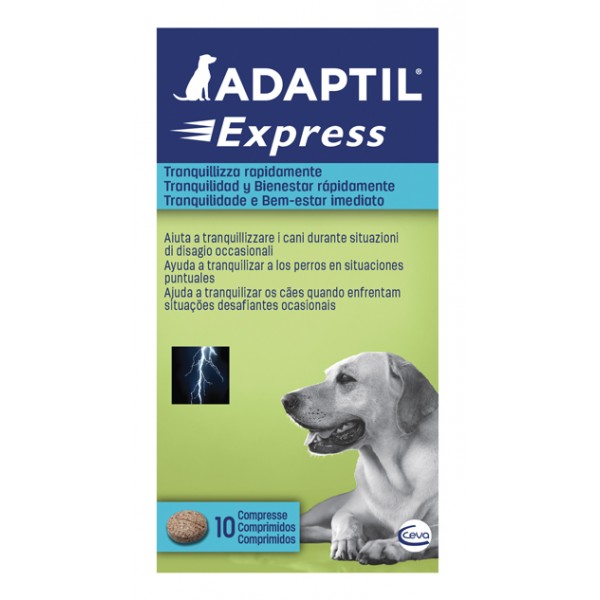 ADAPTIL EXPRESS 10CPR