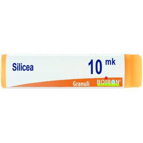 SILICEA XMK GL