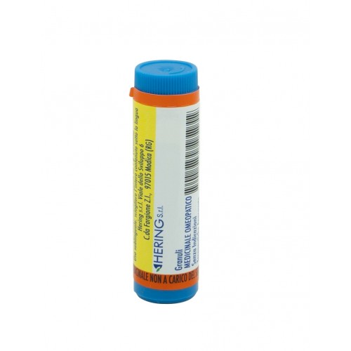 ARNICA MONTANA 06LM GR 1G