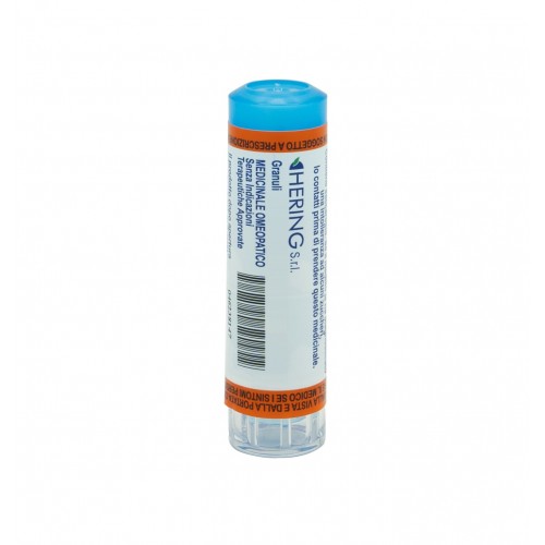 ARNICA MONTANA 200CH GR 4G